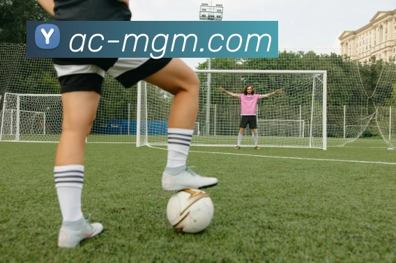 美高梅官网服务体系